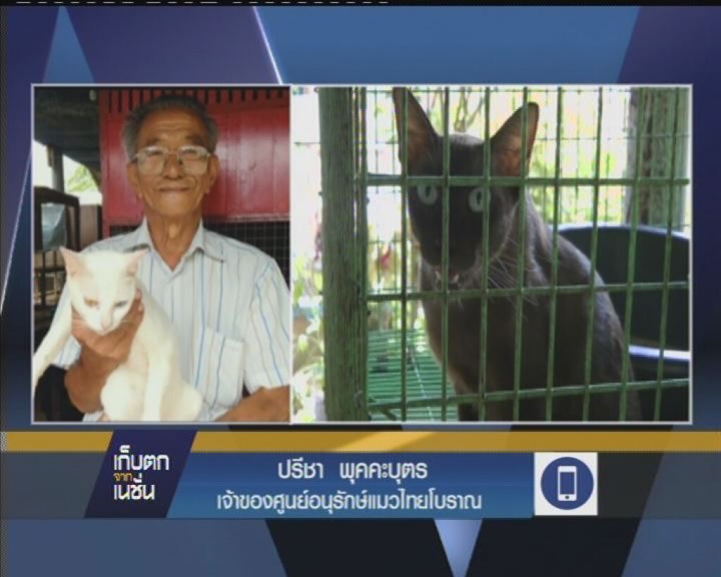 เตรียมจดขึ้นทะเบียนแมว "ศุภลักษณ์"