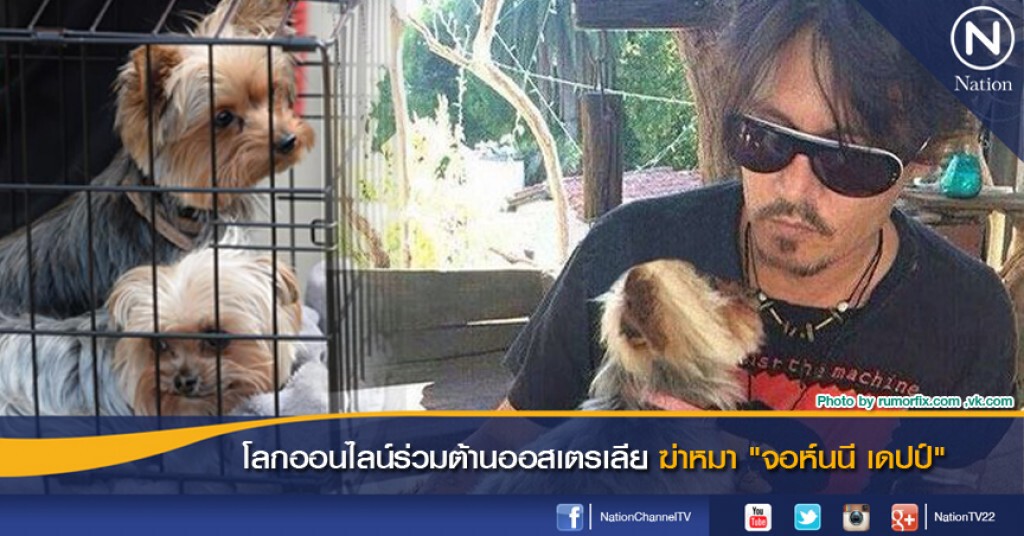 โลกออนไลน์ร่วมต้านออสเตรเลียฆ่าหมาของ "จอห์นนี เดปป์" โลกออนไลน์ร่วมต้านออสเตรเลียฆ่าหมาของ "จอห์นนี เดปป์"