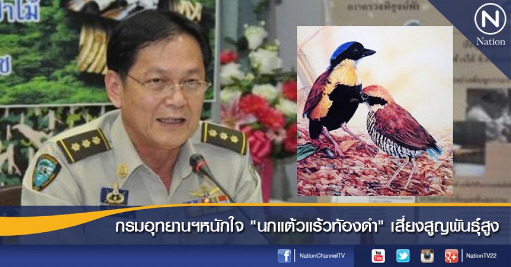 กรมอุทยานฯหนักใจ "นกแต้วแล้วทัองดำ"เสี่ยงสูญพันธุ์สูง กรมอุทยานฯหนักใจ "นกแต้วแล้วทัองดำ"เสี่ยงสูญพันธุ์สูง