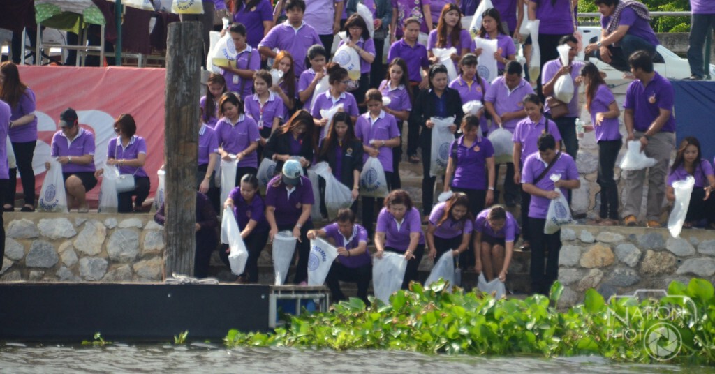 ปทุมธานี - ภาคเอกชนปล่อยพันธุ์ปลา สู่แหล่งน้ำธรรมชาติ 600,000 ตัว