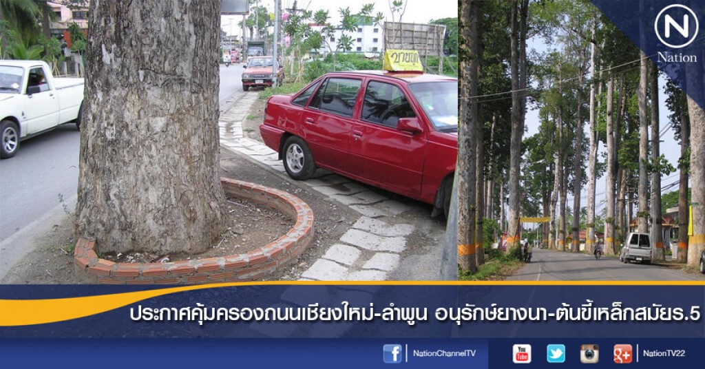 ประกาศคุ้มครองถนนเชียงใหม่-ลำพูน อนุรักษ์ยางนา-ต้นขี้เหล็กสมัยร.5 ประกาศคุ้มครองถนนเชียงใหม่-ลำพูน อนุรักษ์ยางนา-ต้นขี้เหล็กสมัยร.5