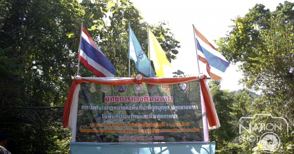 สุราษฎร์ธานี - ถือฤกษ์วิสาขบูชา ทวงคืนผืนป่าอุทยานฯที่ถูกบุกรุก สุราษฎร์ธานี - ถือฤกษ์วิสาขบูชา ทวงคืนผืนป่าอุทยานฯที่ถูกบุกรุก