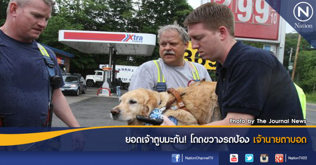 ยอดเจ้าตูบมะกัน! โดดขวางรถป้องเจ้านายตาบอด