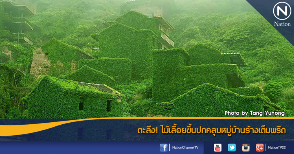ตะลึง! ไม้เลื้อยขึ้นปกคลุมหมู่บ้านร้างเต็มพรืด ตะลึง! ไม้เลื้อยขึ้นปกคลุมหมู่บ้านร้างเต็มพรืด