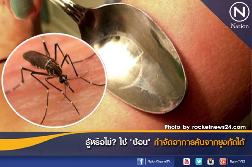 รู้หรือไม่? ใช้ "ช้อน" กำจัดอาการคันจากยุงกัดได้ รู้หรือไม่? ใช้ "ช้อน" กำจัดอาการคันจากยุงกัดได้