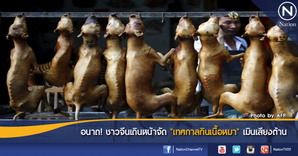 ชาวจีนเดินหน้าจัด "เทศกาลกินเนื้อหมา" เมินเสียงต้าน