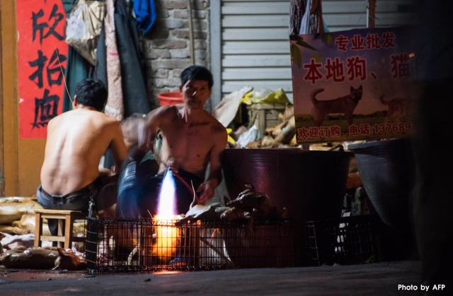 ชาวจีนเดินหน้าจัด "เทศกาลกินเนื้อหมา" เมินเสียงต้าน