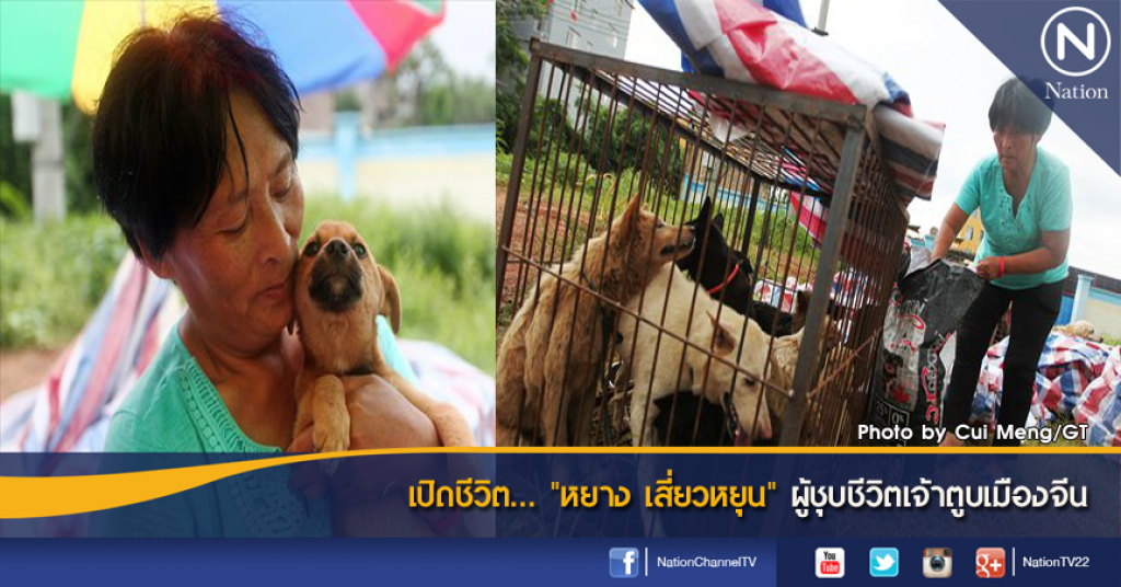 เปิดชีวิต... "หยาง เสี่ยวหยุน" ผู้ชุบชีวิตเจ้าตูบเมืองจีน