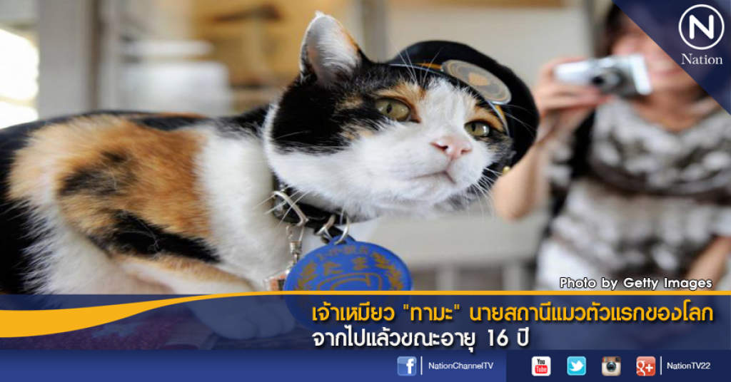 เจ้าเหมียว "ทามะ" นายสถานีแมวตัวแรกของโลก จากไปแล้วขณะอายุ 16 ปี