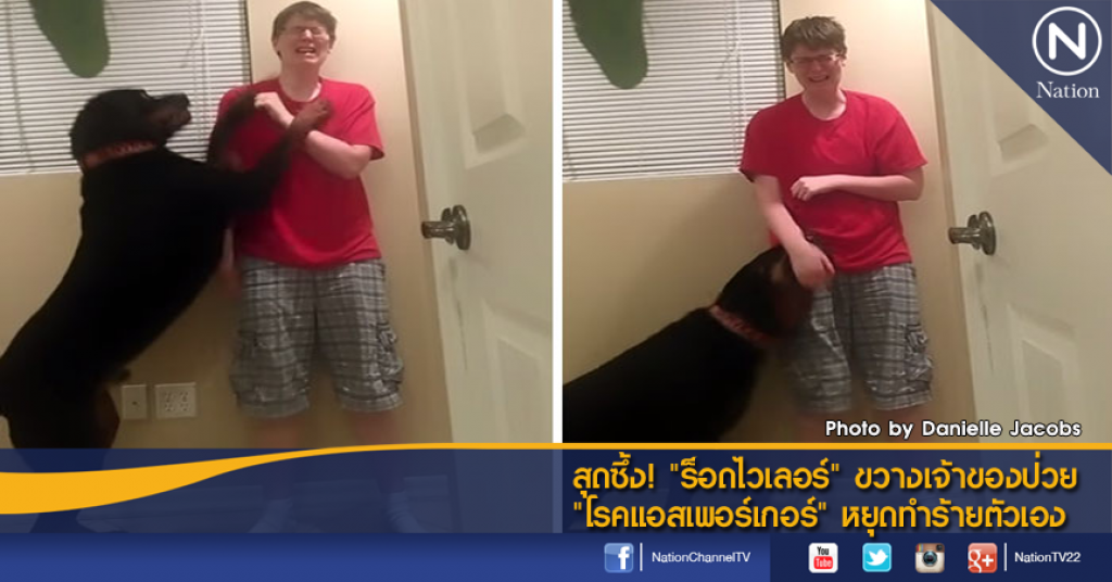 สุดซึ้ง! "ร็อตไวเลอร์" ขวางเจ้าของป่วย "โรคแอสเพอร์เกอร์" หยุดทำร้ายตัวเอง