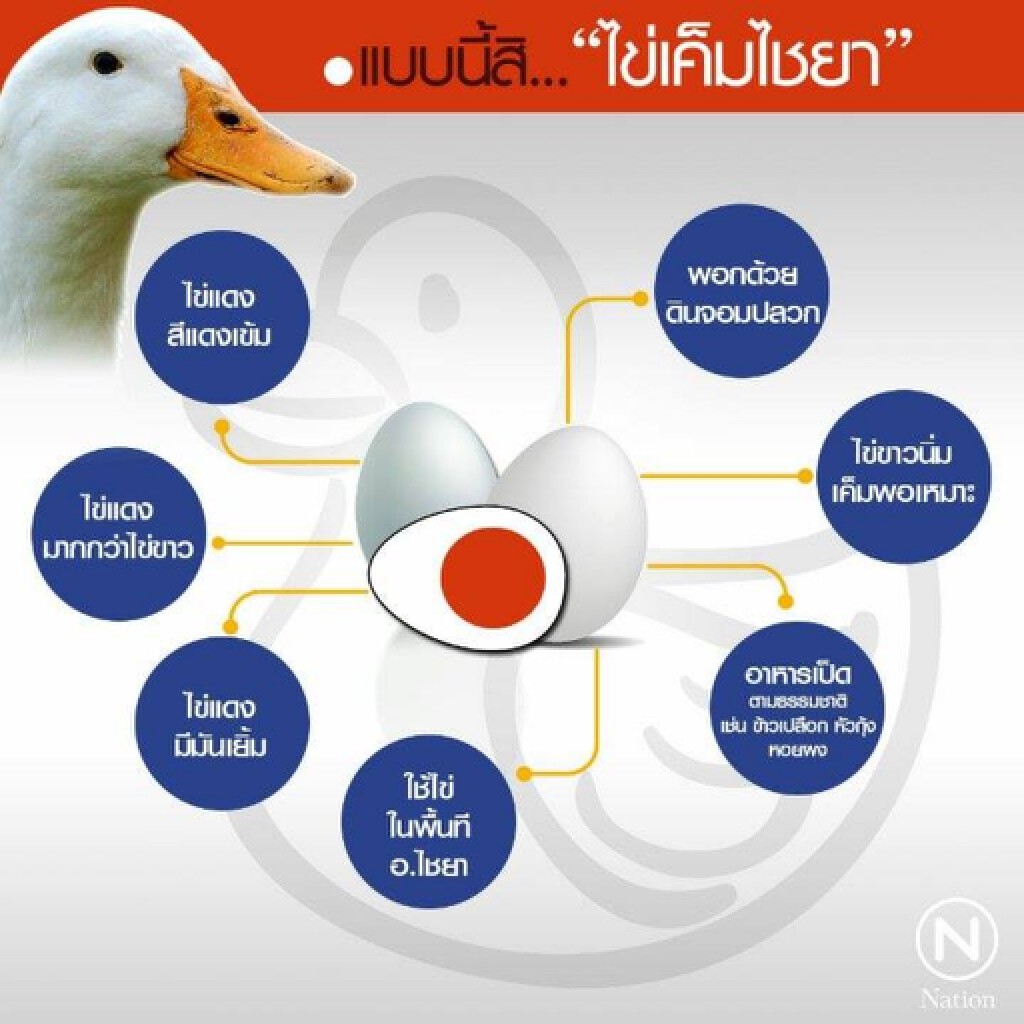 ล่องใต้..ไปสุราษฎร์ฯ เยือนต้นตำรับ "ไข่เค็มไชยา" ล่องใต้..ไปสุราษฎร์ฯ เยือนต้นตำรับ "ไข่เค็มไชยา"