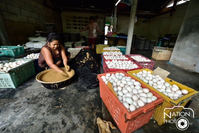 ล่องใต้..ไปสุราษฎร์ฯ เยือนต้นตำรับ "ไข่เค็มไชยา"