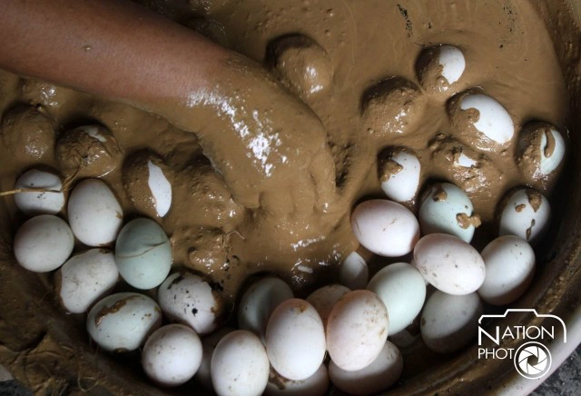 ล่องใต้..ไปสุราษฎร์ฯ เยือนต้นตำรับ "ไข่เค็มไชยา"