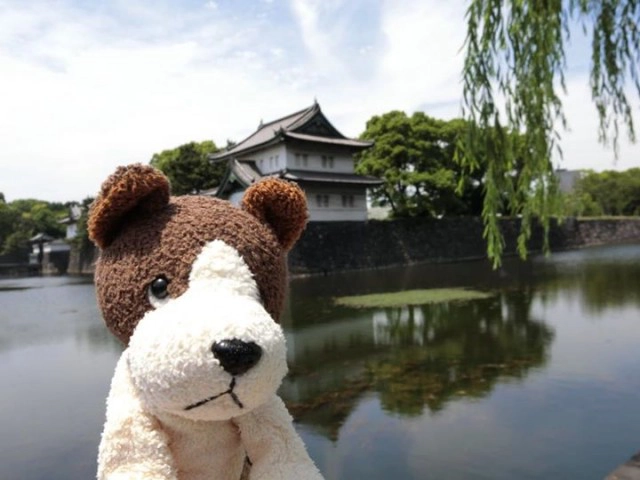 ทัวร์สุดแปลก "พาตุ๊กตาเที่ยว" ไอเดียน่ารักจากประเทศญี่ปุ่น