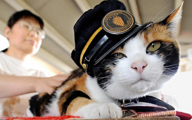 ญี่ปุ่นจัดงานศพให้ "ทามะ" นายสถานีรถไฟสี่ขา