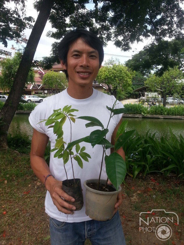 แคมเปญดัง ท้าปลูกต้นไม้ในเฟซบุ๊ค-ลุกลามถึงต่างประเทศ