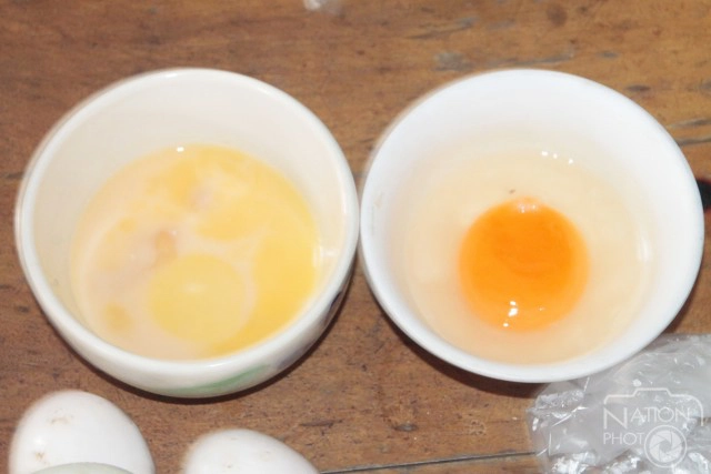 พิสูจน์ความแตกต่าง ไข่ปลอมไข่จริง ตามข้อสังเกตแบบชาวบ้าน