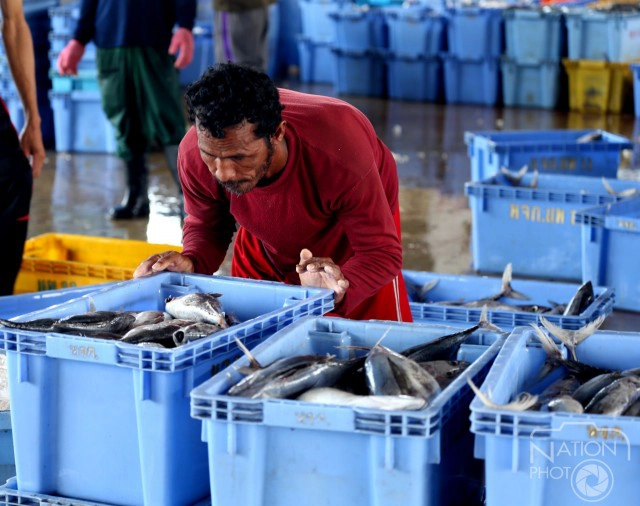 ภาพชุด เรือประมงทยอยเทียบท่าริมแม่น้ำปัตตานี