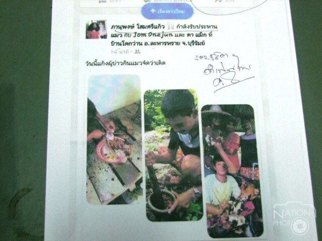 ตร.เรียกสอบ 5 หนุ่ม กินแมวโพสเฟชบุ๊กโชว์