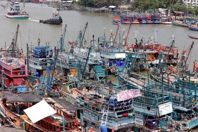 ภาพชุด เรือประมงทยอยเทียบท่าริมแม่น้ำปัตตานี