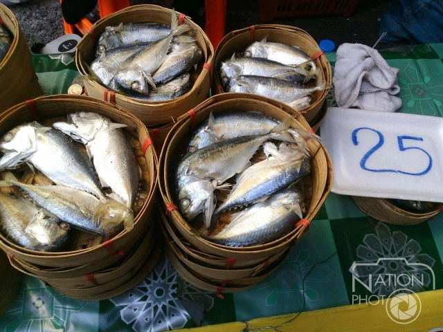 เตรียมขยับราคา"ปลาทู" หากประมงประท้วงยืดเยื้อ