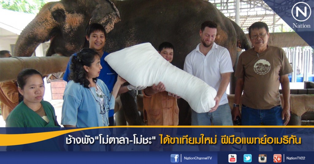 ช้างพัง"โม่ตาลา-โม่ชะ"ได้ขาเทียมใหม่ ฝีมือแพทย์อเมริกัน ช้างพัง"โม่ตาลา-โม่ชะ"ได้ขาเทียมใหม่ ฝีมือแพทย์อเมริกัน