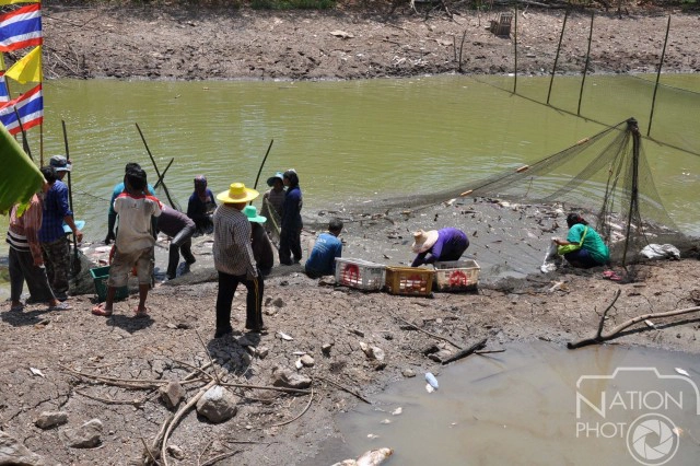 ชาวบ้านช่วยจับปลา"หน้าวัด"ปล่อยแหล่งน้ำธรรมชาติ  หลังภัยแล้งทำน้ำในคลองแห้งขอด