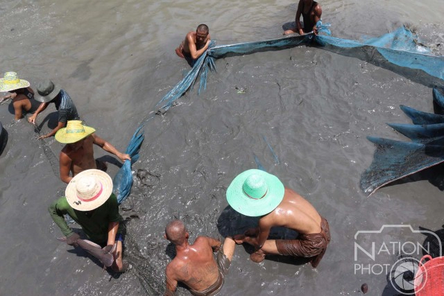 ชาวบ้านช่วยจับปลา"หน้าวัด"ปล่อยแหล่งน้ำธรรมชาติ  หลังภัยแล้งทำน้ำในคลองแห้งขอด