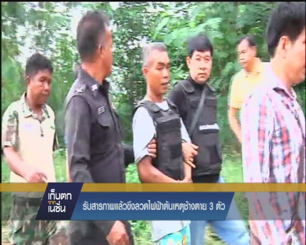รับสารภาพแล้วมือขึงลวดไฟฟ้าต้นเหตุช้างตาย3ตัว