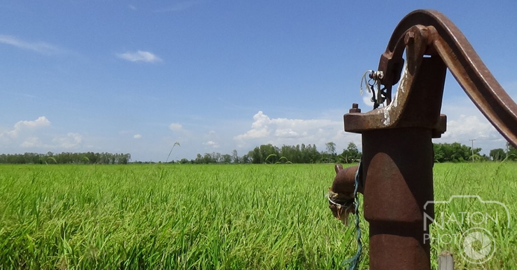 หยุดจ่ายน้ำเพื่อการเกษตร พิษณุโลกมีนาข้าวเสี่ยงเสียหาย 1.2 แสนไร่