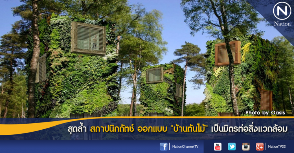 สุดล้ำ สถาปนิกดัตช์ออกแบบ "บ้านต้นไม้" เป็นมิตรต่อสิ่งแวดล้อม