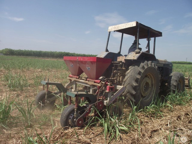 "สายใจไทย"ให้"น้ำตาลไทยเอกลักษณ์"ดูแลศูนย์เรียนรู้การเพาะปลูกอ้อย