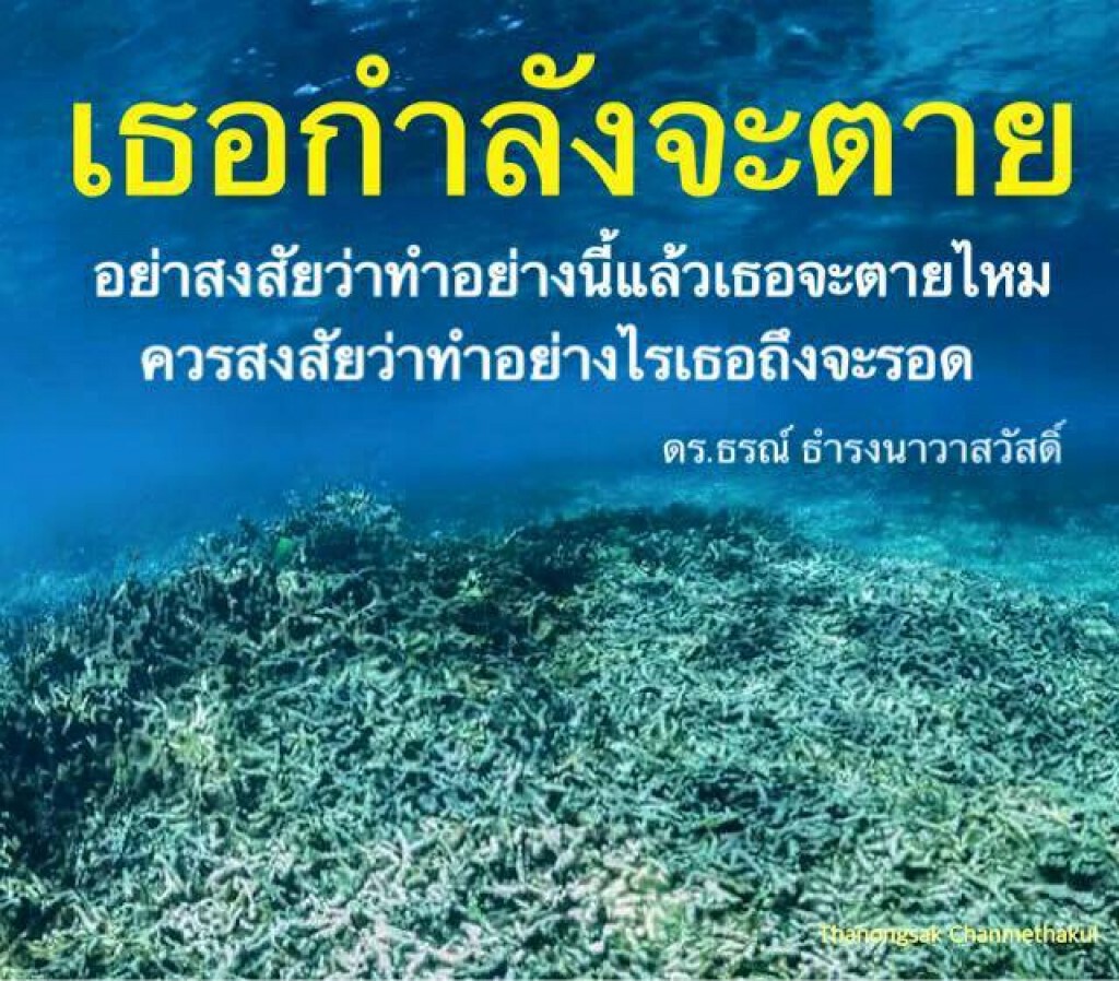 ดร.ธรณ์โพสต์แจงอีก "ปมดำน้ำให้อาหารปลา" ดร.ธรณ์โพสต์แจงอีก "ปมดำน้ำให้อาหารปลา"