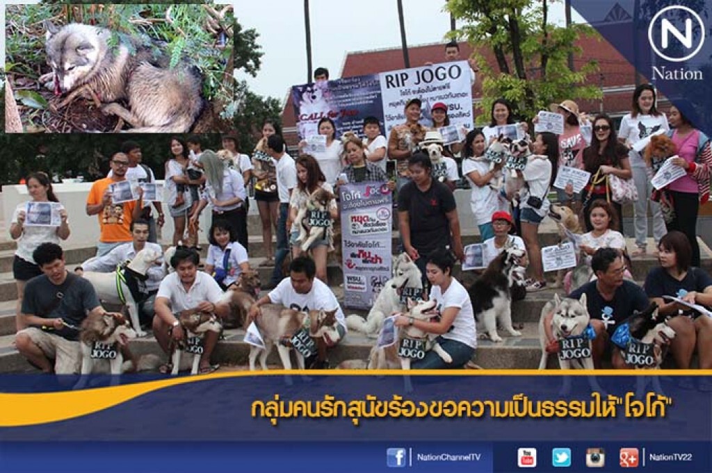 กลุ่มคนรักสุนัขร้องขอความเป็นธรรมให้"โจโก้"