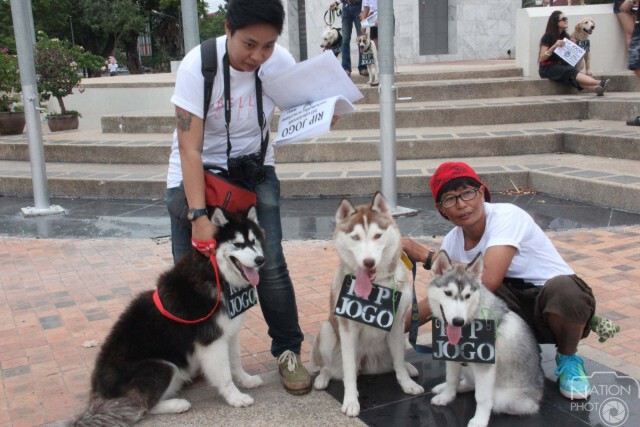 กลุ่มคนรักสุนัขร้องขอความเป็นธรรมให้"โจโก้"