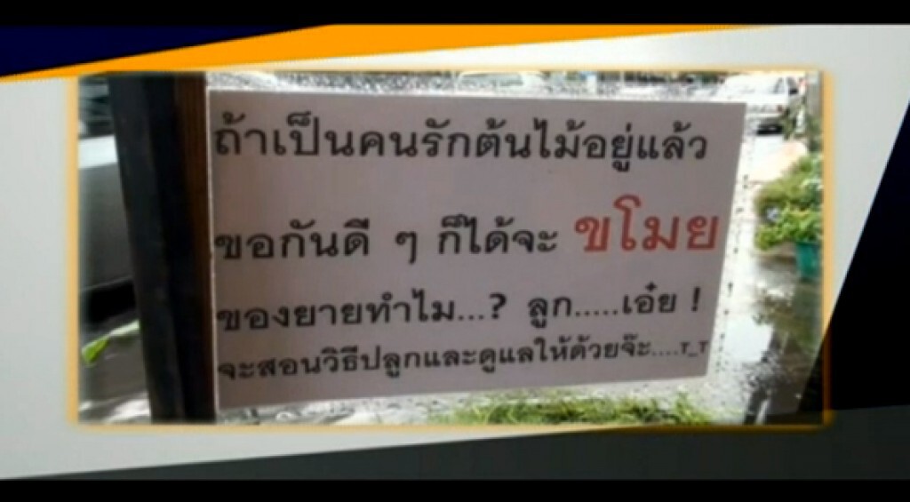 ยายสุดทน! โจรขโมยต้นไม้ ปักป้าย"มาขอดีๆจะสอนวิธีปลูก" ยายสุดทน! โจรขโมยต้นไม้ ปักป้าย"มาขอดีๆจะสอนวิธีปลูก"