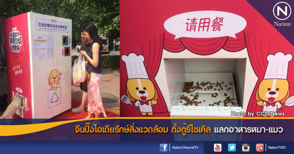 จีนปิ๊งไอเดียรักษ์สิ่งแวดล้อม ตั้งตู้รีไซเคิล แลกอาหารหมา-แมว จีนปิ๊งไอเดียรักษ์สิ่งแวดล้อม ตั้งตู้รีไซเคิล แลกอาหารหมา-แมว