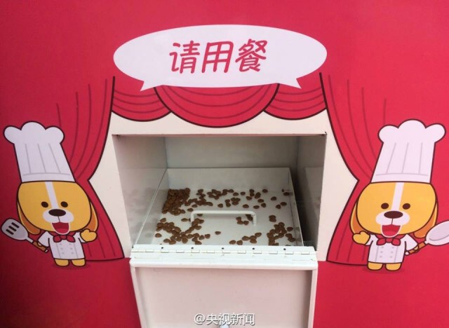 จีนปิ๊งไอเดียรักษ์สิ่งแวดล้อม ตั้งตู้รีไซเคิล แลกอาหารหมา-แมว