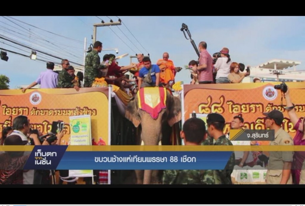 ขบวนช้างแห่เทียนพรรษา 88 เชือก
