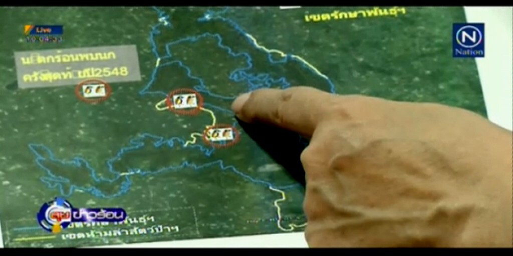 ล่ารายชื่ออนุรักษ์"นกแต้วแล้วท้องดำ" ล่ารายชื่ออนุรักษ์"นกแต้วแล้วท้องดำ"