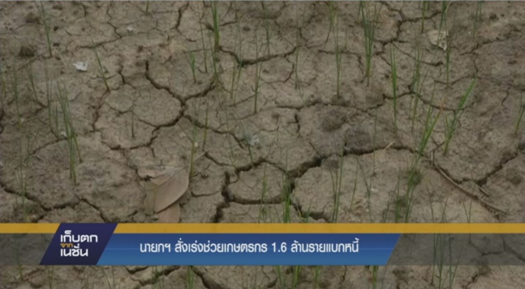 นายกฯ สั่งเร่งช่วยเกษตรกร 1.6 ล้านรายแบกหนี้