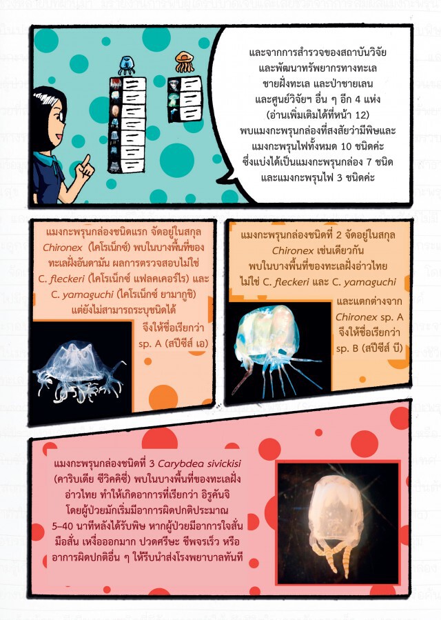 เรียนรู้ สู้ภัยแมงกะพรุนพิษ กับ กรมทรัพยากรทางทะเลและชายฝั่ง