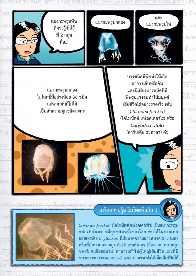 เรียนรู้ สู้ภัยแมงกะพรุนพิษ กับ กรมทรัพยากรทางทะเลและชายฝั่ง