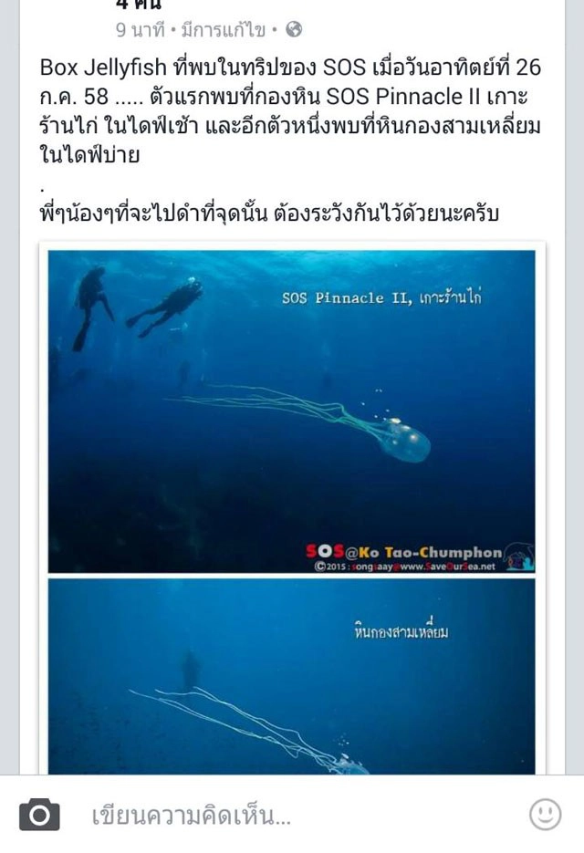 อ.ธรณ์แนะวิธีหลีกเลี่ยง-ปฏิบัติเรื่อง"แมงกะพรุนกล่อง"