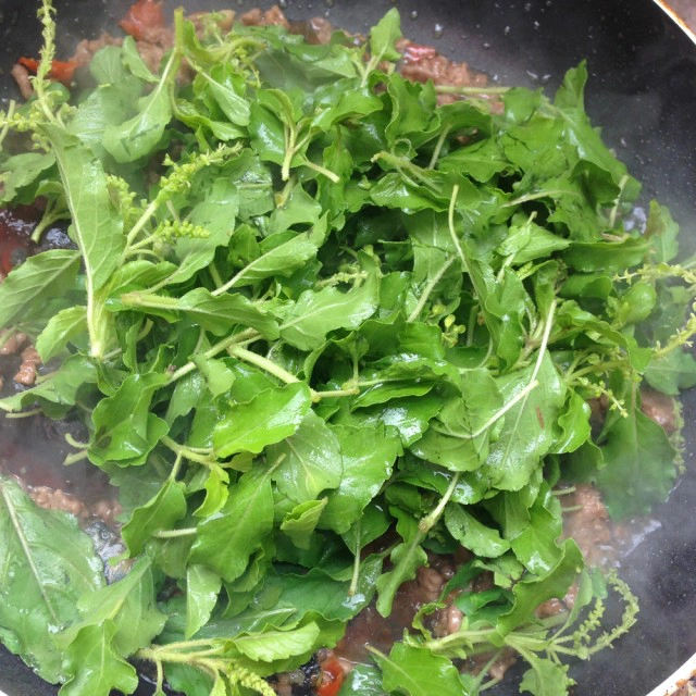 Cooking is Fun : กะเพราเนื้อสับไข่เยี่ยวม้า