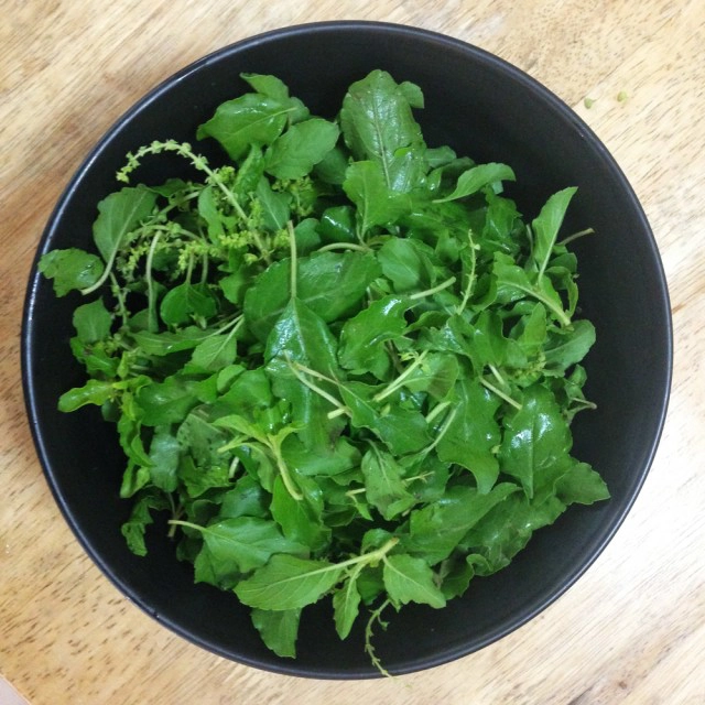 Cooking is Fun : กะเพราเนื้อสับไข่เยี่ยวม้า