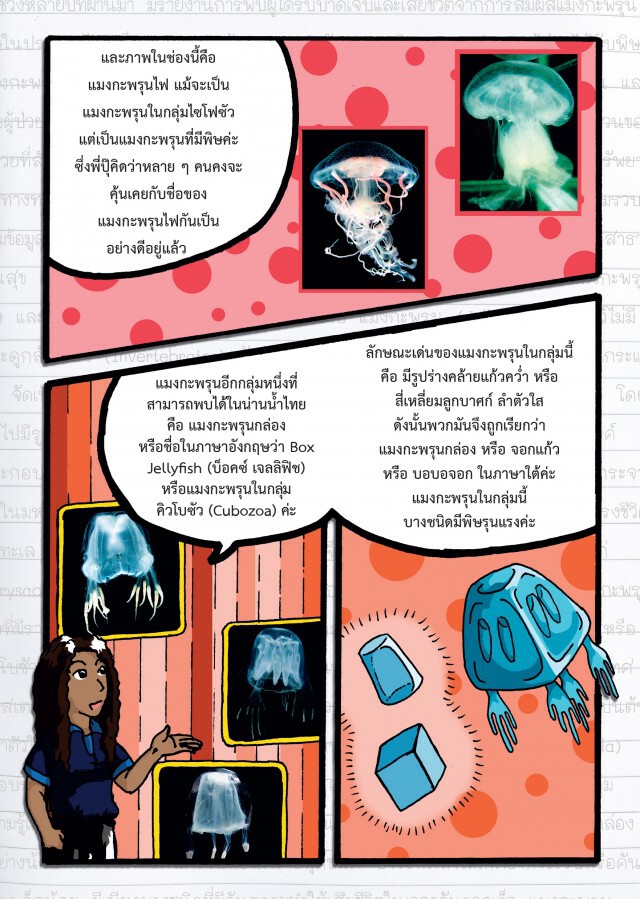 เรียนรู้ สู้ภัยแมงกะพรุนพิษ กับ กรมทรัพยากรทางทะเลและชายฝั่ง