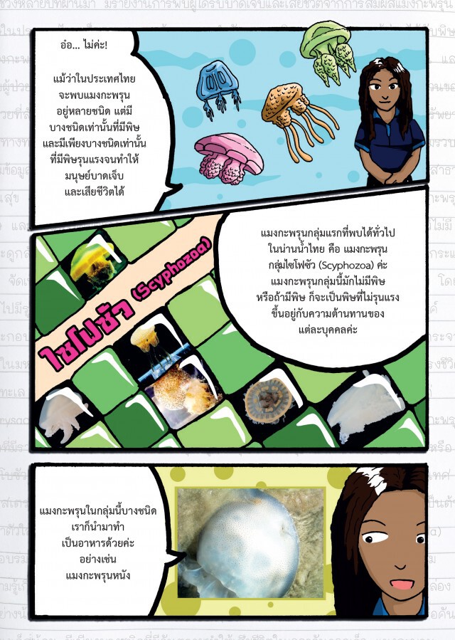 เรียนรู้ สู้ภัยแมงกะพรุนพิษ กับ กรมทรัพยากรทางทะเลและชายฝั่ง