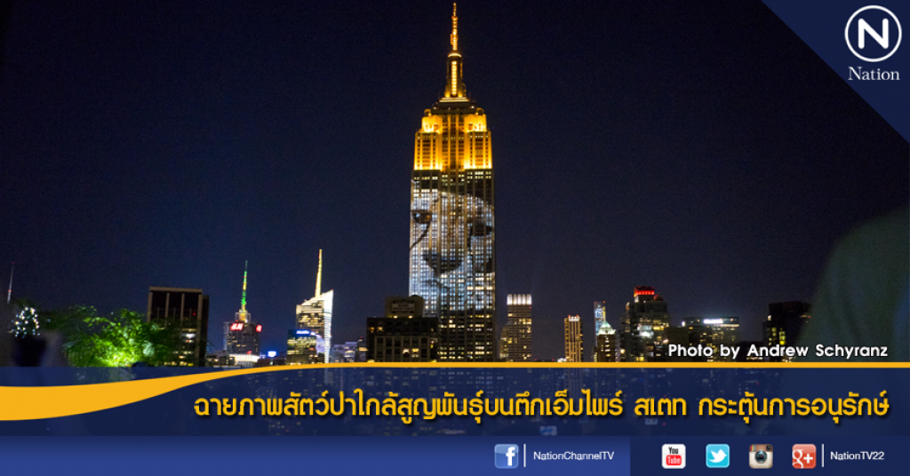 ฉายภาพสัตว์ป่าใกล้สูญพันธุ์บนตึกเอ็มไพร์ สเตท กระตุ้นการอนุรักษ์