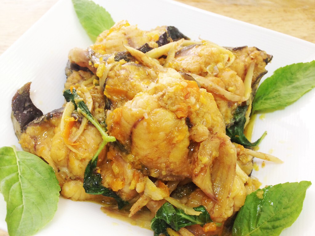 Cooking is Fun : ปลาดุกผัดพริกเหลืองใบกะเพรา Cooking is Fun : ปลาดุกผัดพริกเหลืองใบกะเพรา